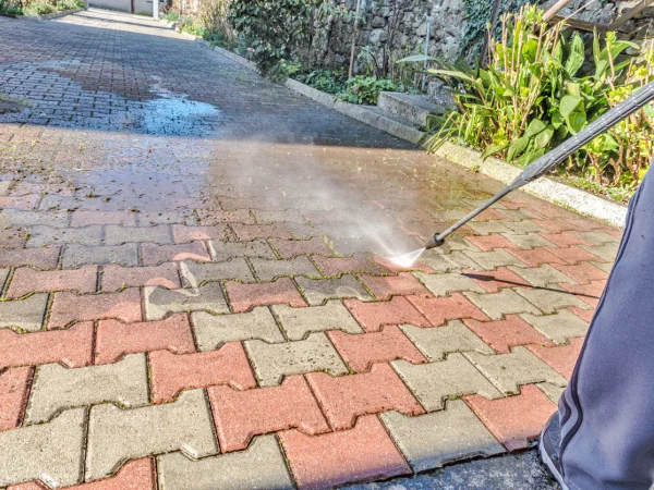 iStock-1216670139_361607fb-d988-42b0-83b3-592faeb6615f